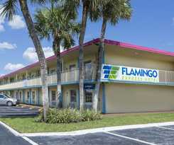 Flamingo Express
