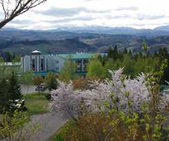 Hotel Romantopia, A Landscape Of Forest and Stars, The Swan, Of Stars