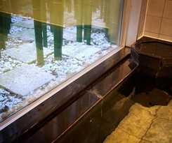 Hotel Super Hachinohe Natural Hot Springs