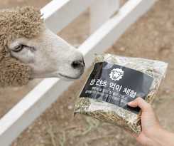 Hotel Kensington Resort Seorak Valley