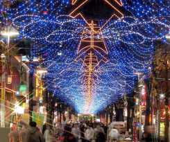 Yokohama Town 24