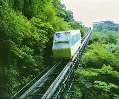 Wanoyado Hotel Iya Onsen Natural Hot Spring