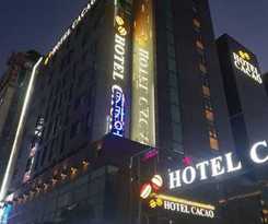 Hotel Hotel Cacao