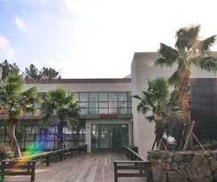 Hotel Dammora Resort