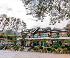 Pensión Dorothy's Forest