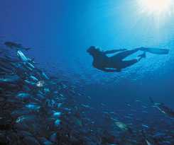 Hotel Heritage Le Telfair Golf and Wellness Resort