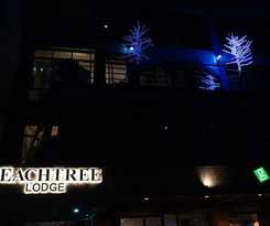 Hotel Peach Tree Lodge