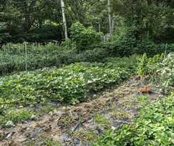 Hotel Pocheon Kingdom