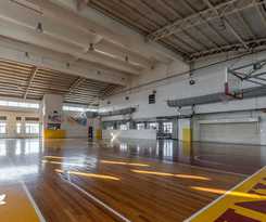 Golden Panda Dormtel