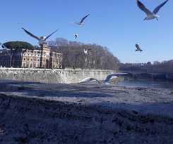  Lungotevere Collection Suite