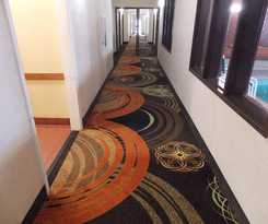 Quality Inn and Suites