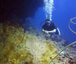 Velana Beach Maldives