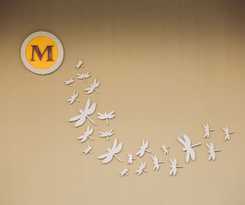 Hotel Chapulin Natural Resort