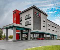 Avid Brooklyn Dyker Heights, An Ihg