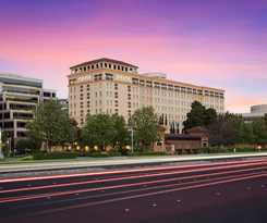 Juniper Cupertino, Curio Collection By Hilton