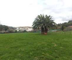 Pensión Las Palmeras