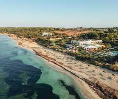 Gecko and Beach Club