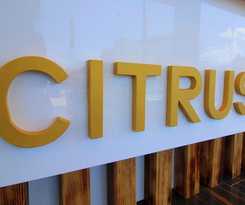 Hotel Citrus
