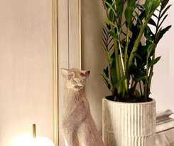 Hotel Ayramin Exclusive