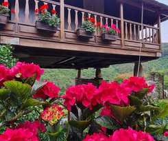  El Bosque de las Viñas