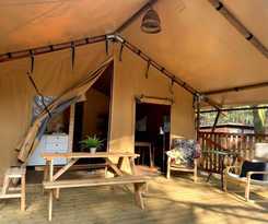 Camp Bursztynowy Las