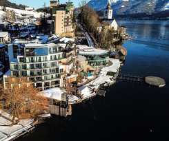 Scalaria Sunset Wing