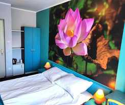 B&B Pod R&oacute;żą 