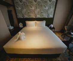 Hotel Monkeys Canopy Resort