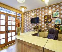 Hadimba Manali By Ybs
