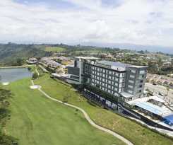 Punta Diamante Premium