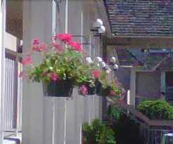 Hotel Caravelle Inn Extended Stay