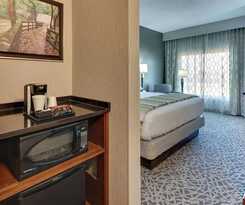 Hotel Drury Plaza Savannah Pooler