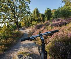Park Soltau