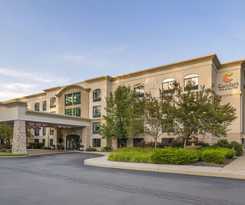 Comfort Inn And Suites