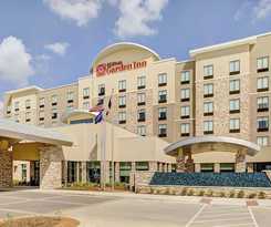 Hotel Hilton Garden Inn Dallas/arlington South