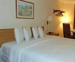 Hotel Oceanside Lodge