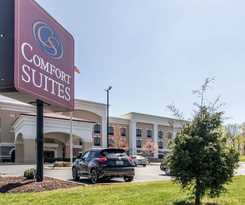 Hotel Comfort Suites Smyrna