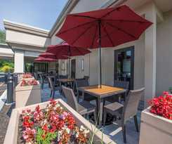 Hotel Mtk Mount Kisco