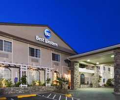 Hotel Best Western University Inn And Suites