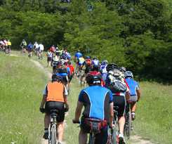 Hotel Restaurant Ruimzicht