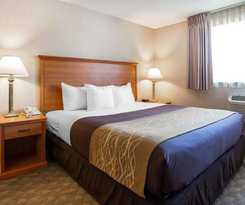 Hotel Quality Inn Kirkland