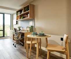 Modern Studios In Brighton Sk