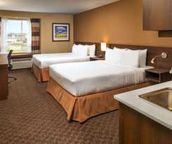Hotel Microtel Inn And Suites By Wyndham Red Deer
