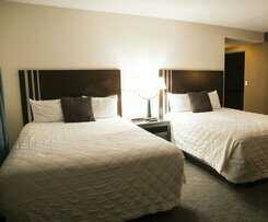 Hotel Orange Tree Inn