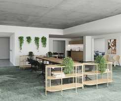Toivo Studios