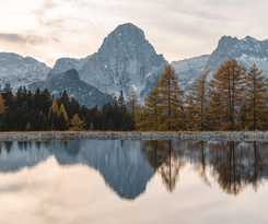 Hotel Trifor&ecirc;t Alpin.resort