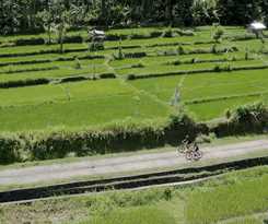 Kaura Bali