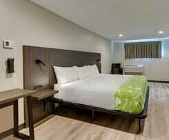 Hotel The Shamrock