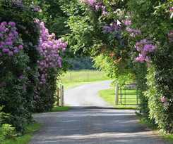 Hotel Ballymaloe House