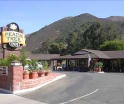 Peach Tree Inn